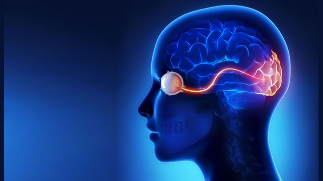 نوریت-اپتیک-باعث-اختلال-بینایی-می‌شود