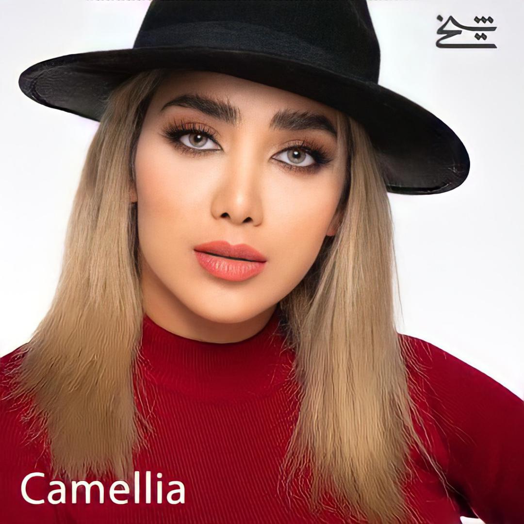  فروش لنز Camelia (عسلی طوسی سبز بدون دور)  برند شیخ بهمراه قیمت امروز لنز رنگی  و قیمت امروز لنز طبی
