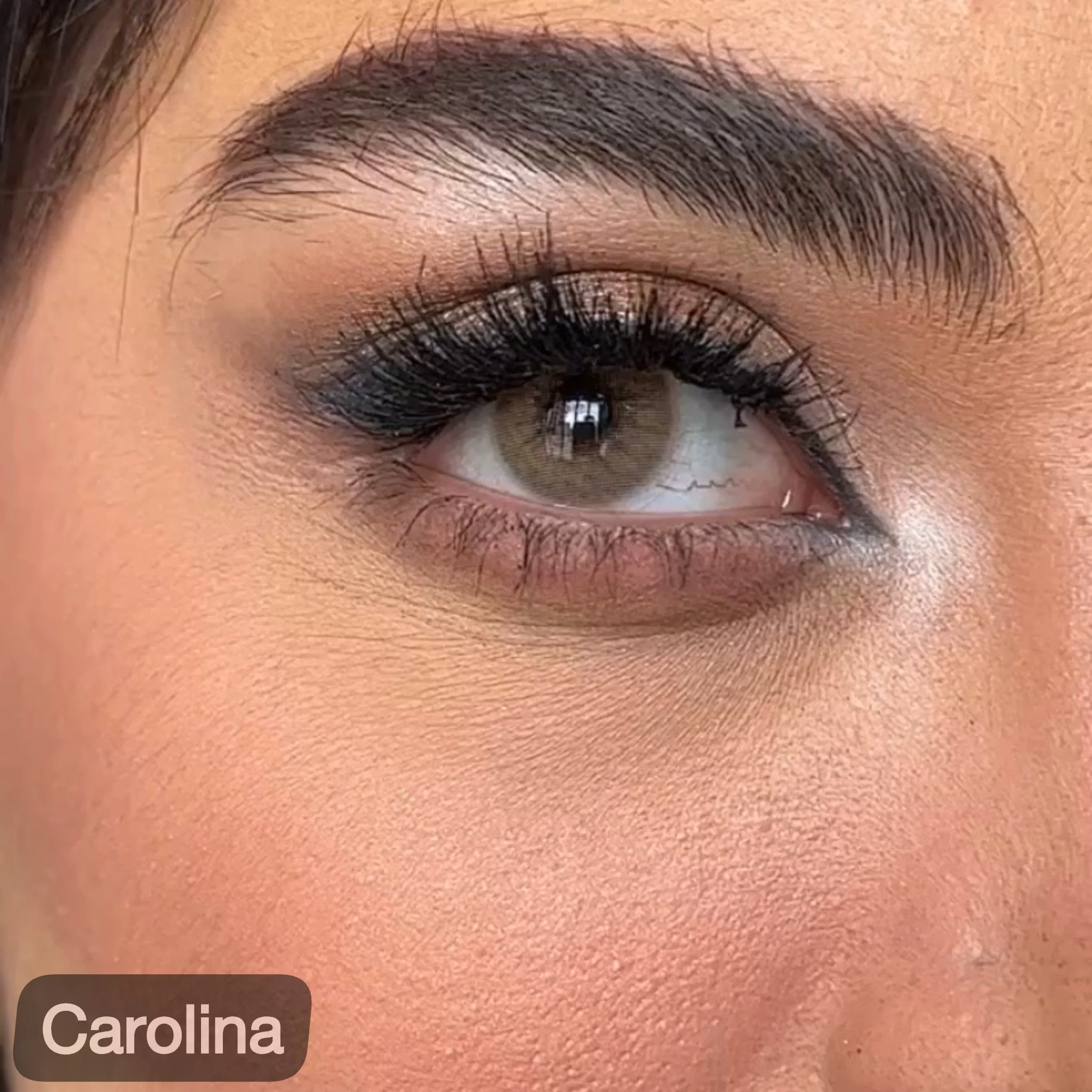 لنز رنگی سالانه آیسکالر (Icecolor Luxury)